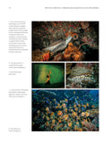 Reflections Underwater - Pelagic Publishing