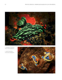 Reflections Underwater - Pelagic Publishing