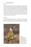 The Green Woodpecker - Pelagic Publishing