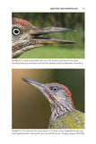 The Green Woodpecker - Pelagic Publishing