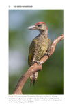 The Green Woodpecker - Pelagic Publishing