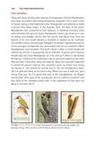 The Green Woodpecker - Pelagic Publishing