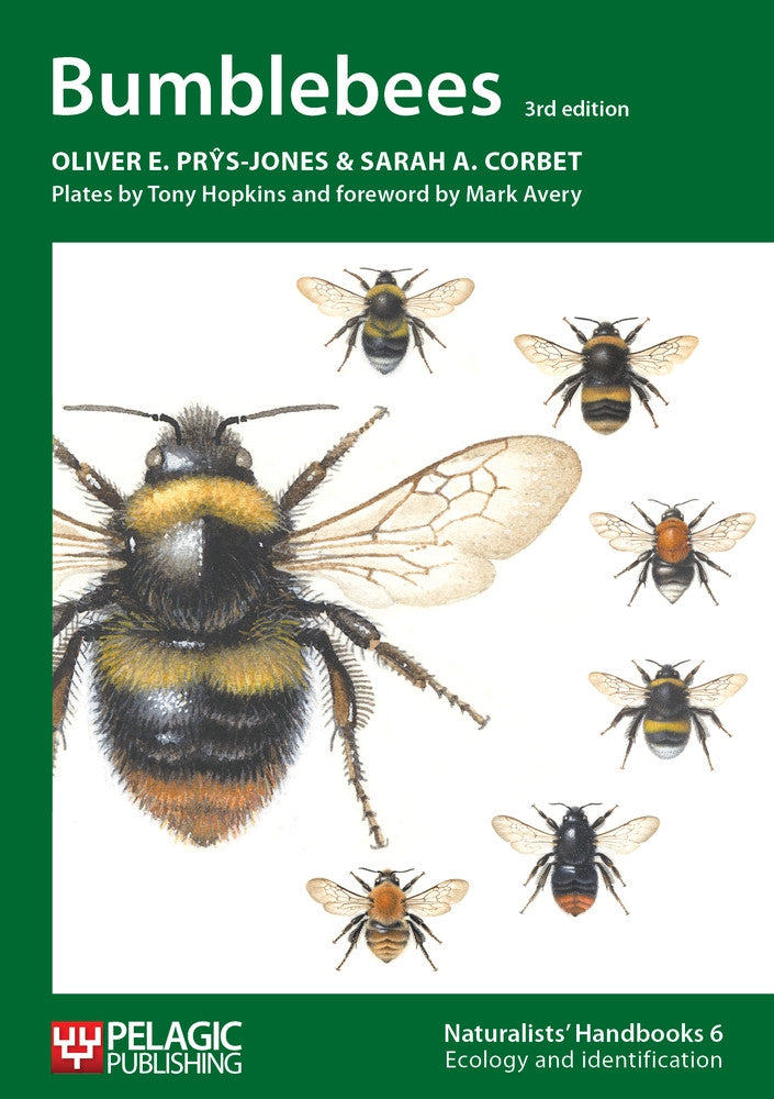 Bumblebees - Pelagic Publishing