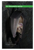 Social Calls of the Bats of Britain and Ireland - Pelagic Publishing