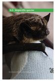 Social Calls of the Bats of Britain and Ireland - Pelagic Publishing