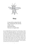 A Natural History of Insects in 100 Limericks - Pelagic Publishing