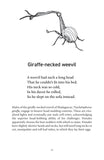 A Natural History of Insects in 100 Limericks - Pelagic Publishing