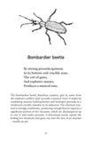 A Natural History of Insects in 100 Limericks - Pelagic Publishing