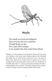 A Natural History of Insects in 100 Limericks - Pelagic Publishing