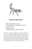 A Natural History of Insects in 100 Limericks - Pelagic Publishing