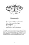 A Natural History of Insects in 100 Limericks - Pelagic Publishing