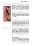 Amphibians and reptiles - Pelagic Publishing