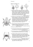 Aphids on deciduous trees - Pelagic Publishing