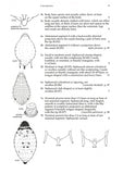 Aphids on deciduous trees - Pelagic Publishing