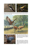 The Ascent of Birds - Pelagic Publishing