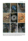 Bat Roosts in Trees - Pelagic Publishing
