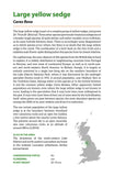A Guide to Britain’s Rarest Plants - Pelagic Publishing