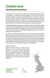A Guide to Britain’s Rarest Plants - Pelagic Publishing