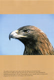 Eagle Days - Pelagic Publishing