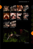 Field Guide to the Bats of the Amazon - Pelagic Publishing