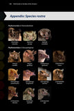 Field Guide to the Bats of the Amazon - Pelagic Publishing