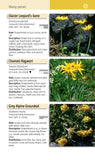 A Field Guide to the Flowers of the Alps - Pelagic Publishing