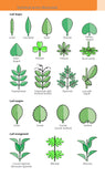 A Field Guide to the Flowers of the Alps - Pelagic Publishing