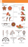 A Field Guide to the Flowers of the Alps - Pelagic Publishing