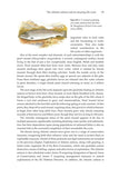 Britain’s Game Fishes - Pelagic Publishing