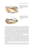 Britain’s Game Fishes - Pelagic Publishing