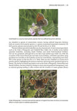 Grassland Restoration and Management - Pelagic Publishing