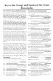 Horseshoe Bats of the World - Pelagic Publishing