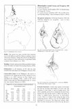 Horseshoe Bats of the World - Pelagic Publishing