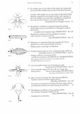 Insects on dock plants - Pelagic Publishing