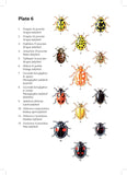 Ladybirds - Pelagic Publishing