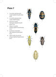 Ladybirds - Pelagic Publishing