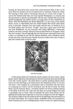 Lapwings, Loons and Lousy Jacks - Pelagic Publishing