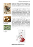Leaf beetles - Pelagic Publishing