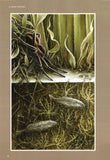 On the Margins - Pelagic Publishing