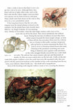 On the Rocks - Pelagic Publishing