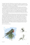 On the Rocks - Pelagic Publishing