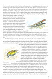 On the Rocks - Pelagic Publishing