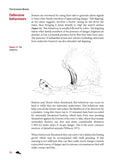 The Eurasian Beaver - Pelagic Publishing