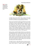 The Eurasian Beaver - Pelagic Publishing