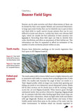 The Eurasian Beaver - Pelagic Publishing