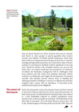 The Eurasian Beaver - Pelagic Publishing