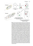 Ponds and small lakes - Pelagic Publishing