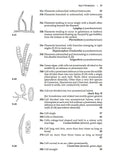 Ponds and small lakes - Pelagic Publishing