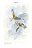 The Red Kite’s Year - Pelagic Publishing