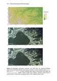 Remote Sensing and GIS for Ecologists - Pelagic Publishing